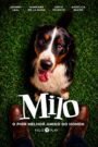Milo